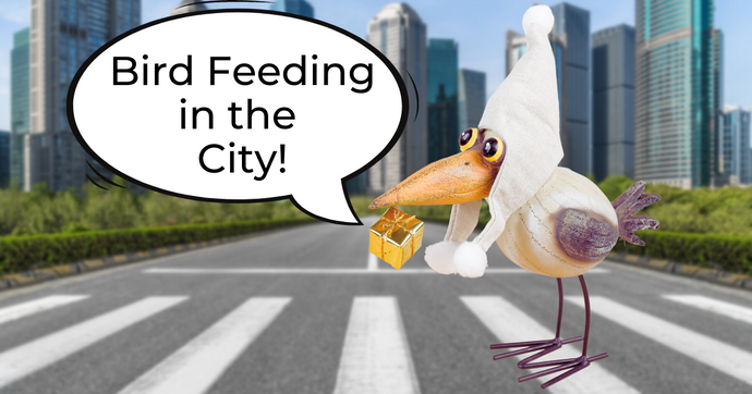 BIRD FEEDING IN THE CITY