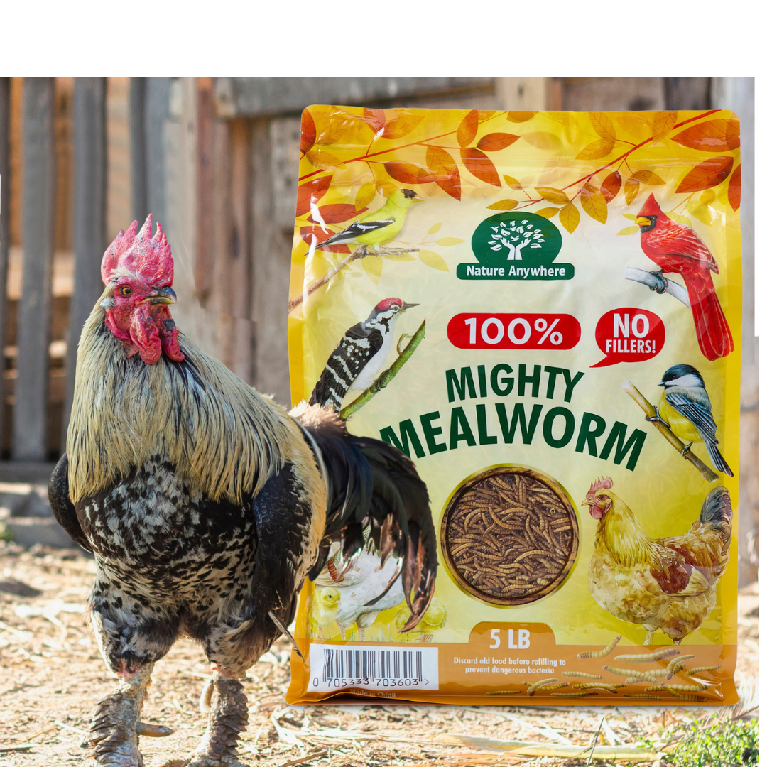 Mighty Mealworm (5 LBs)