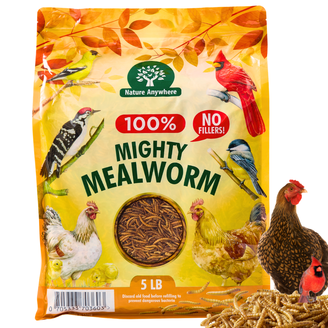 Mighty Mealworm (5 LBs)