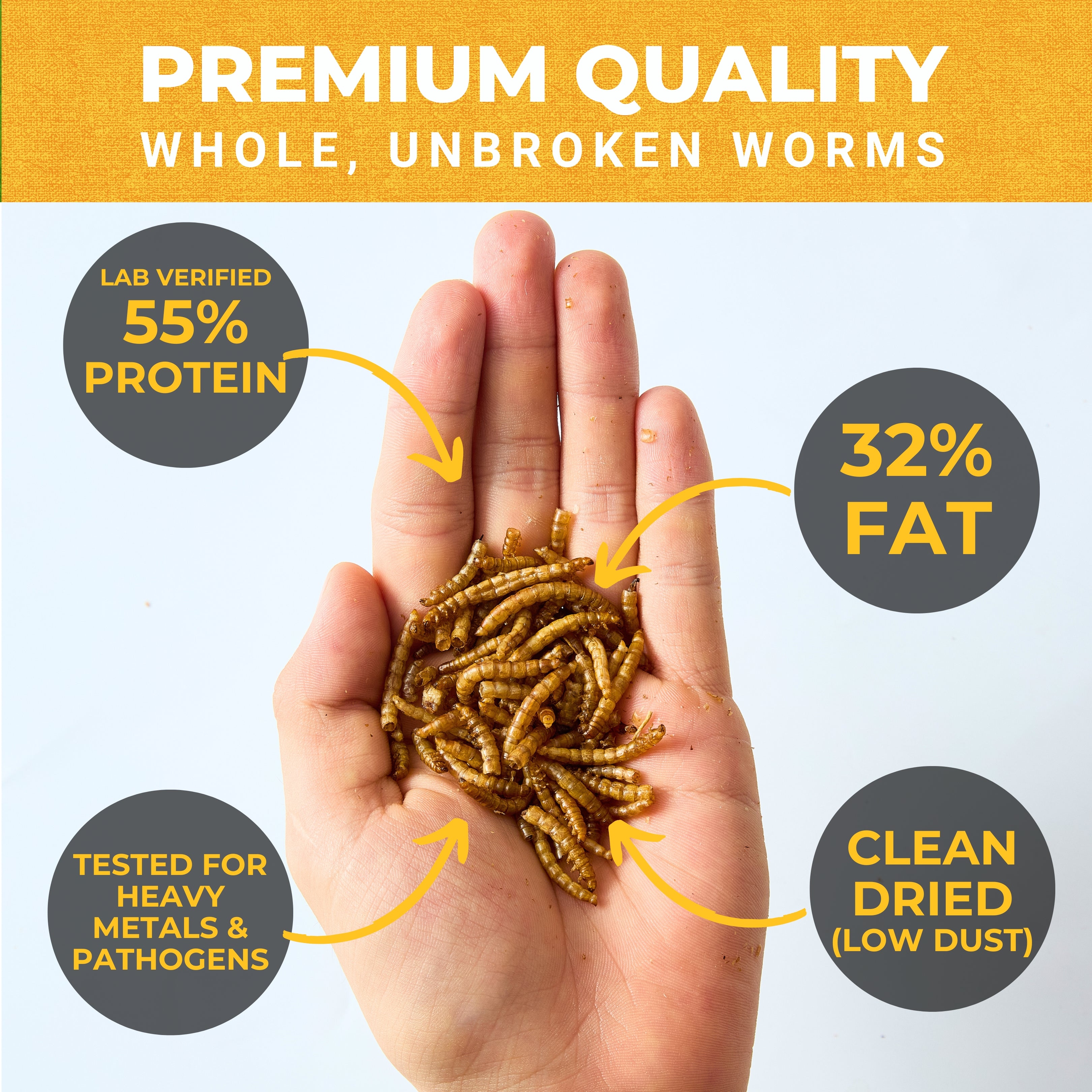 Mighty Mealworm (5 LBs)