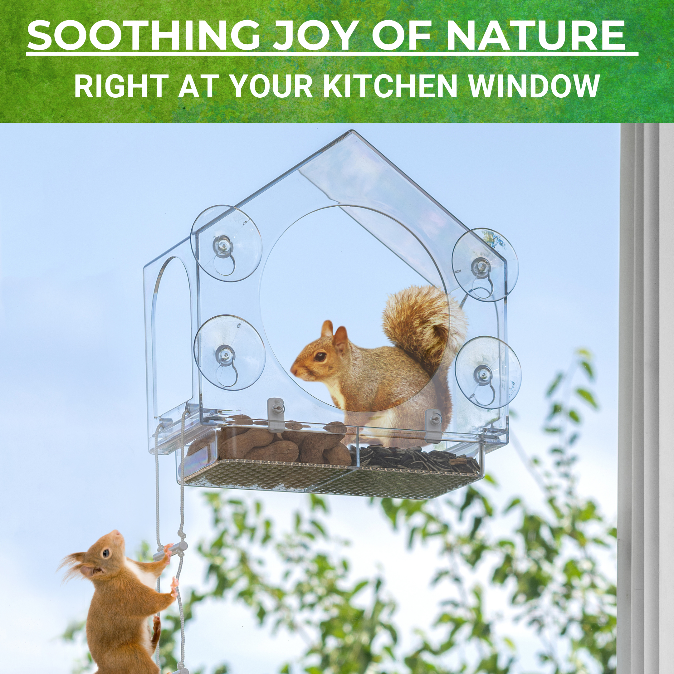 Squirrel-I-View Window Squirrel Feeder