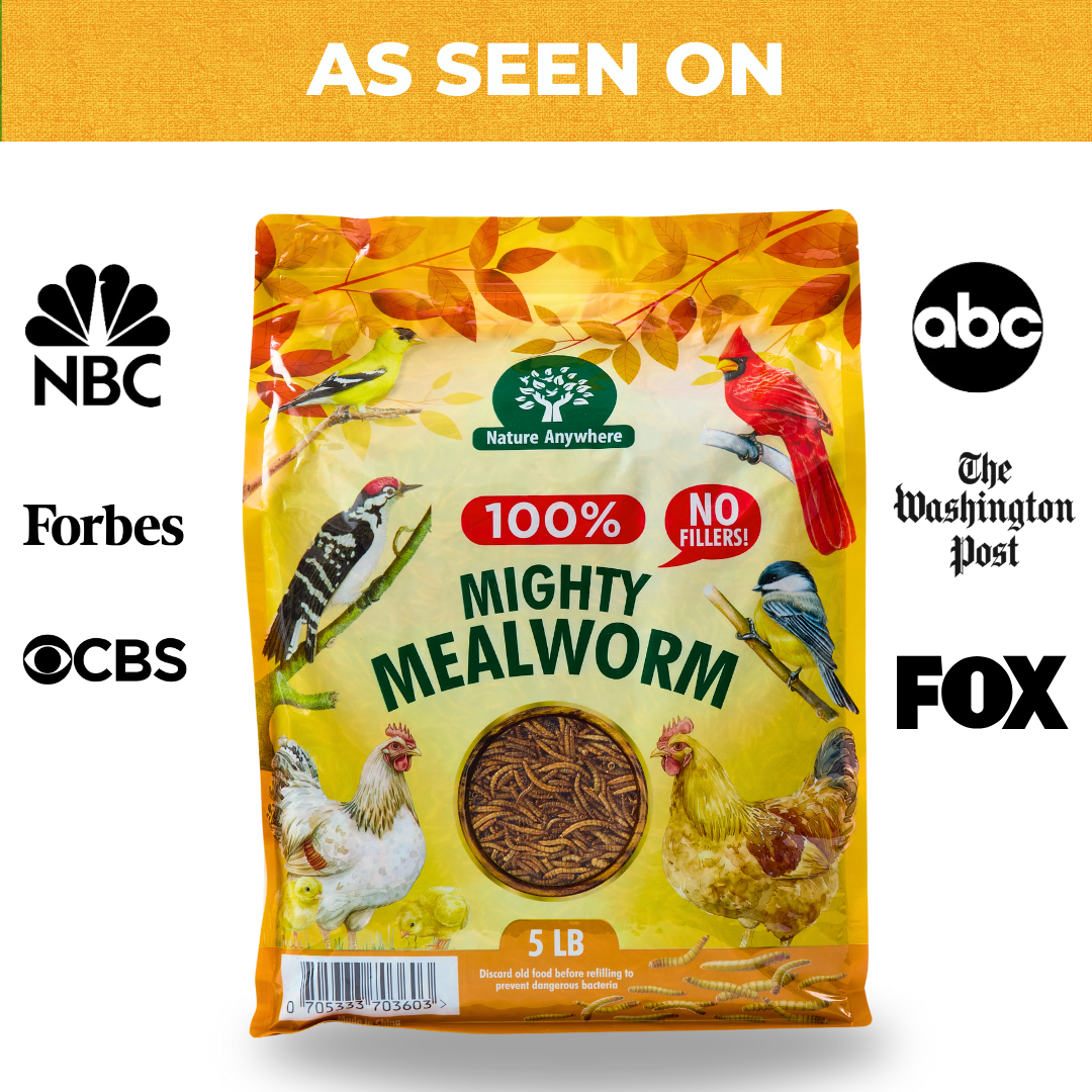Mighty Mealworm (5 LBs)