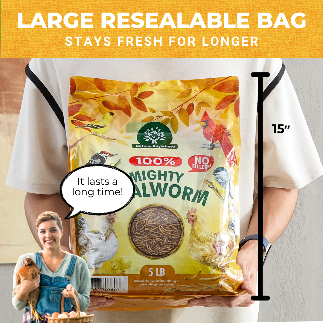 Mighty Mealworm (5 LBs)