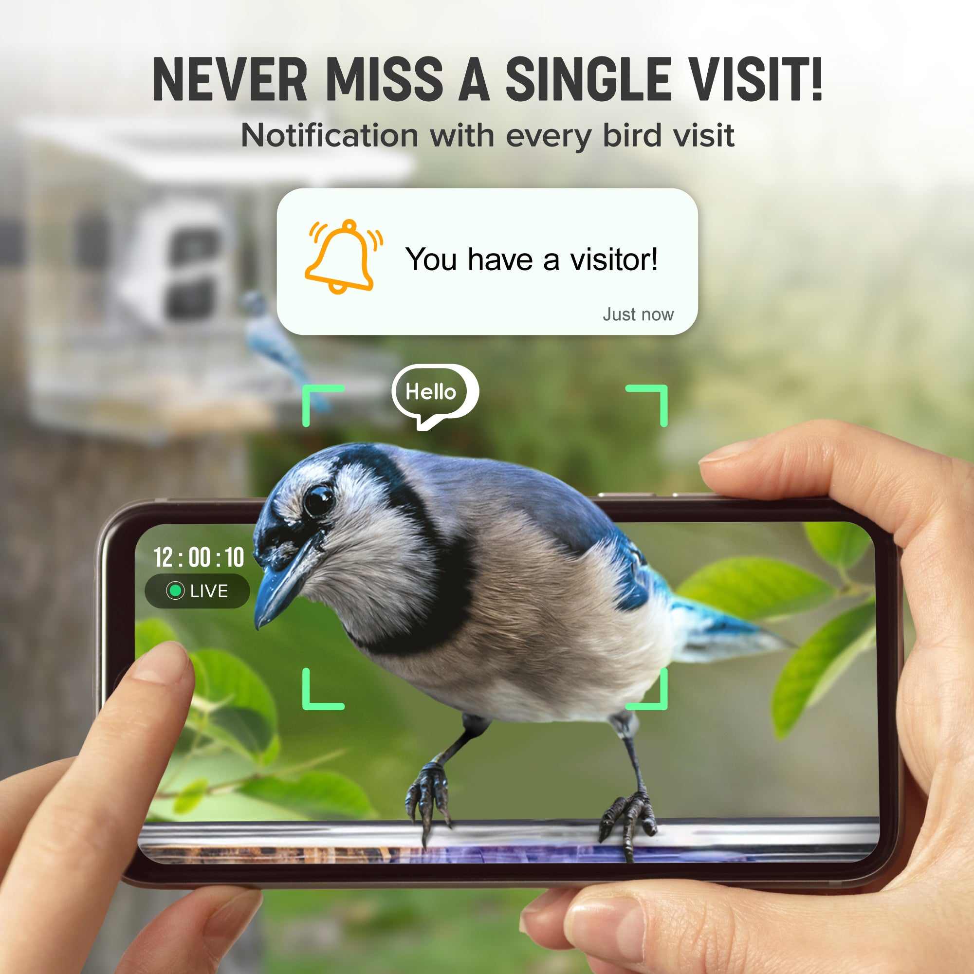 Nest-Flix Smart Bird Feeder with Camera