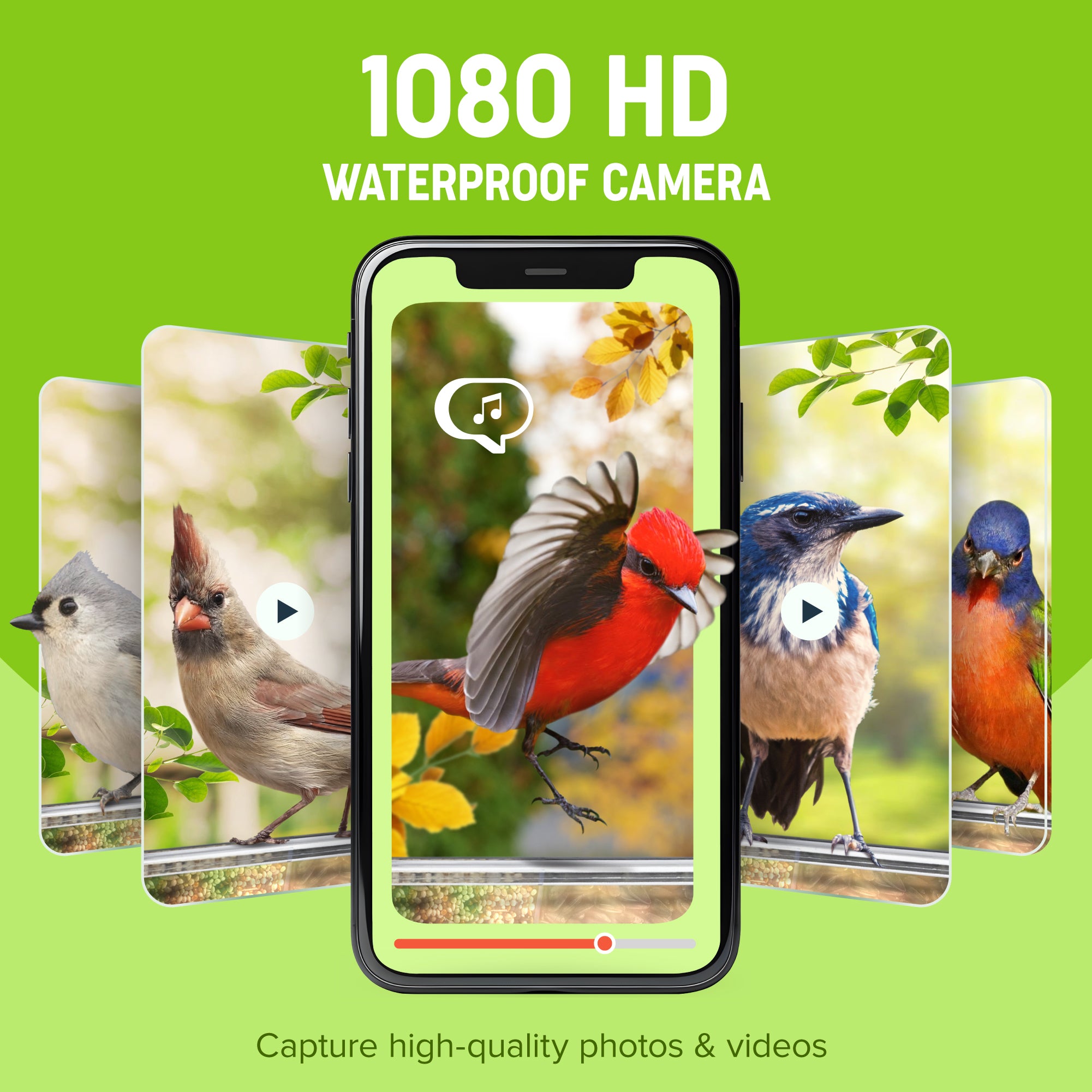 Nest-Flix Smart Bird Feeder with Camera