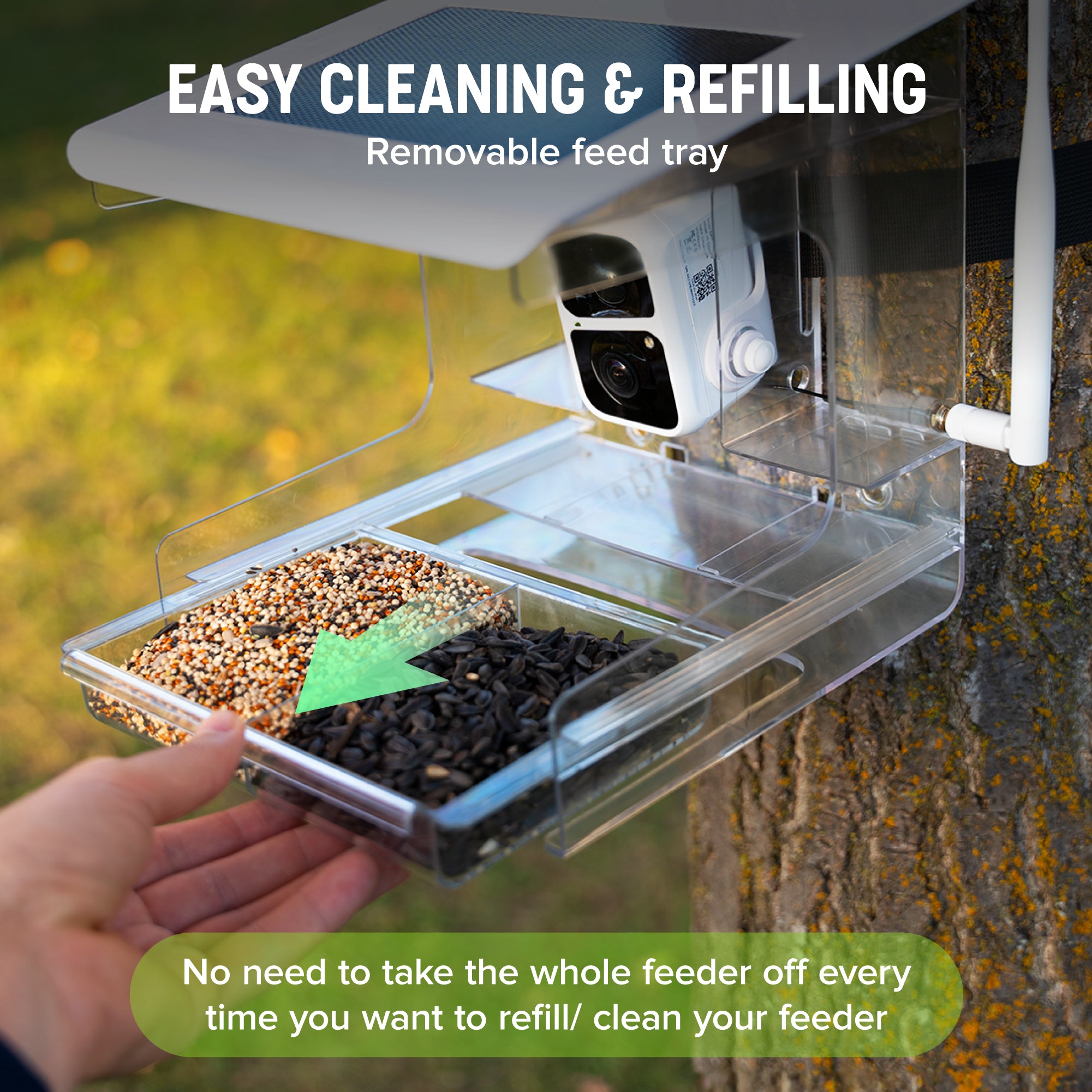Nest-Flix Smart Bird Feeder with Camera