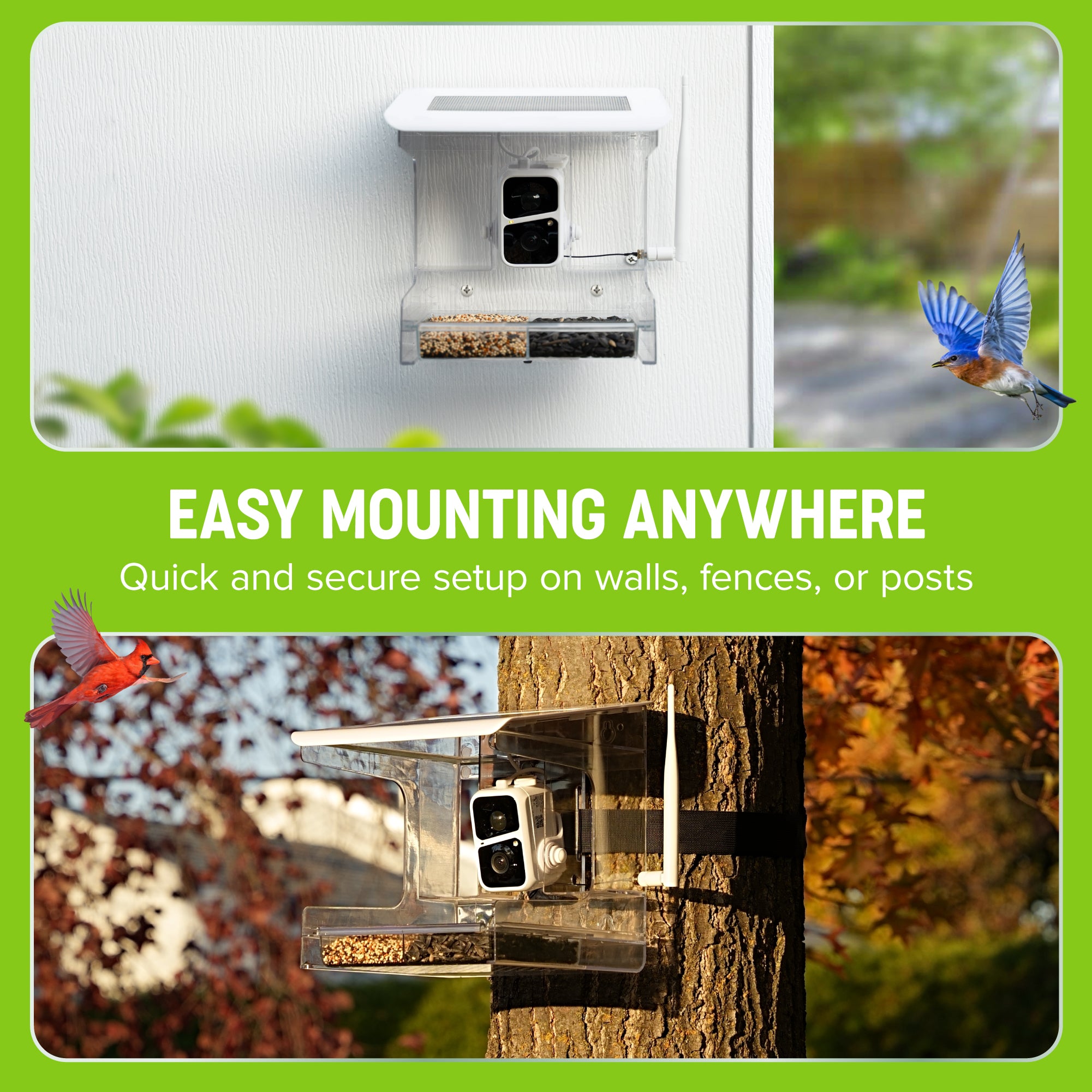 Nest-Flix Smart Bird Feeder with Camera