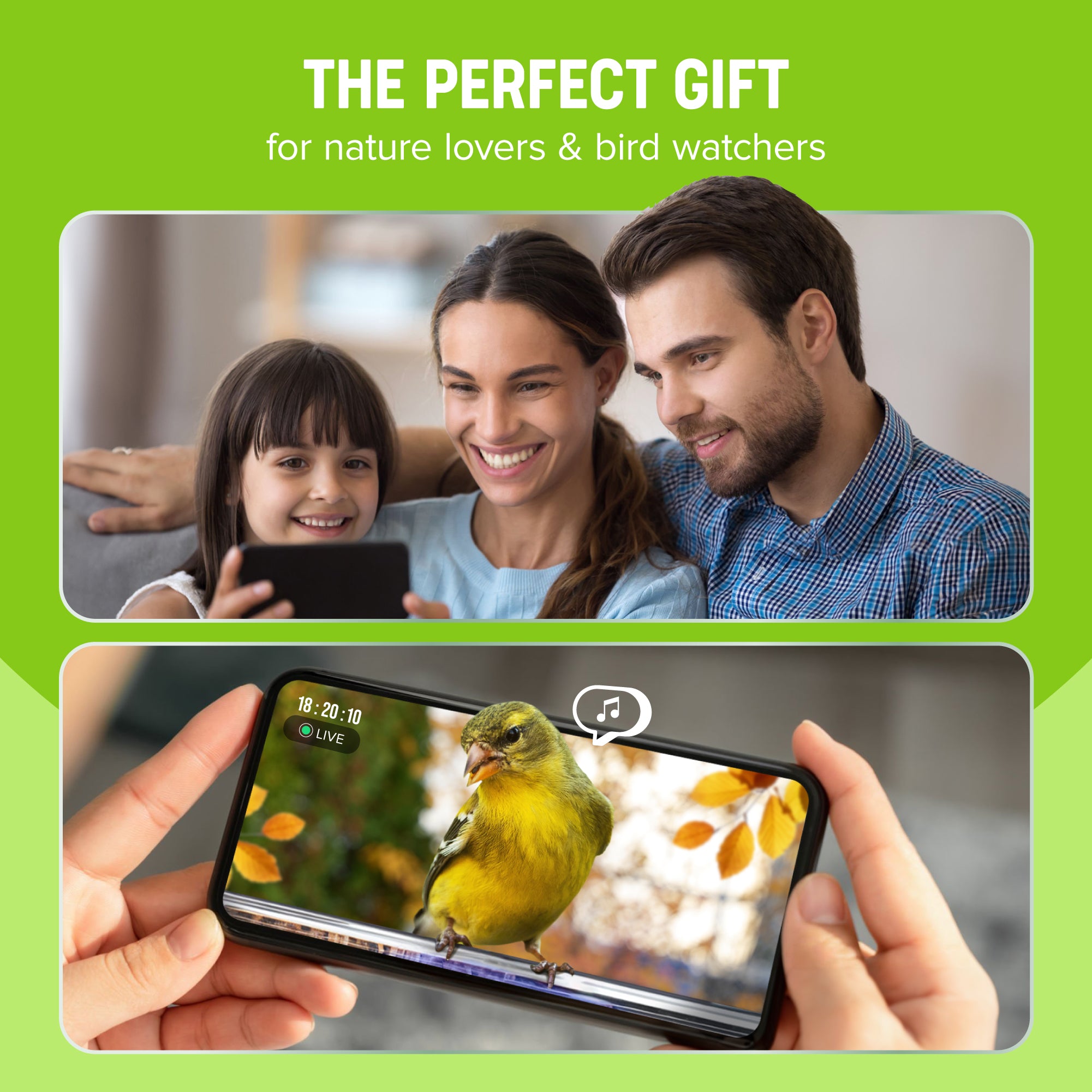 Nest-Flix Smart Bird Feeder with Camera