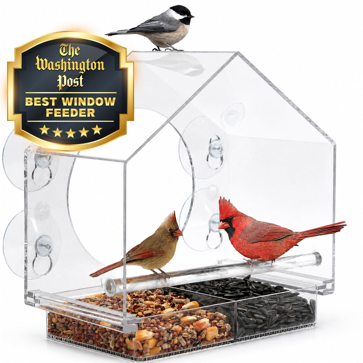 Birds-I-View Window Bird Feeder