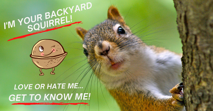 EVERYTHING YOU WANTED TO KNOW ABOUT SQUIRRELS AND WERE AFRAID TO ASK!