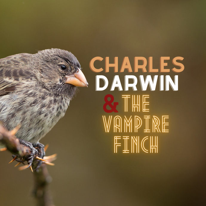 CHARLES DARWIN AND THE VAMPIRE FINCH