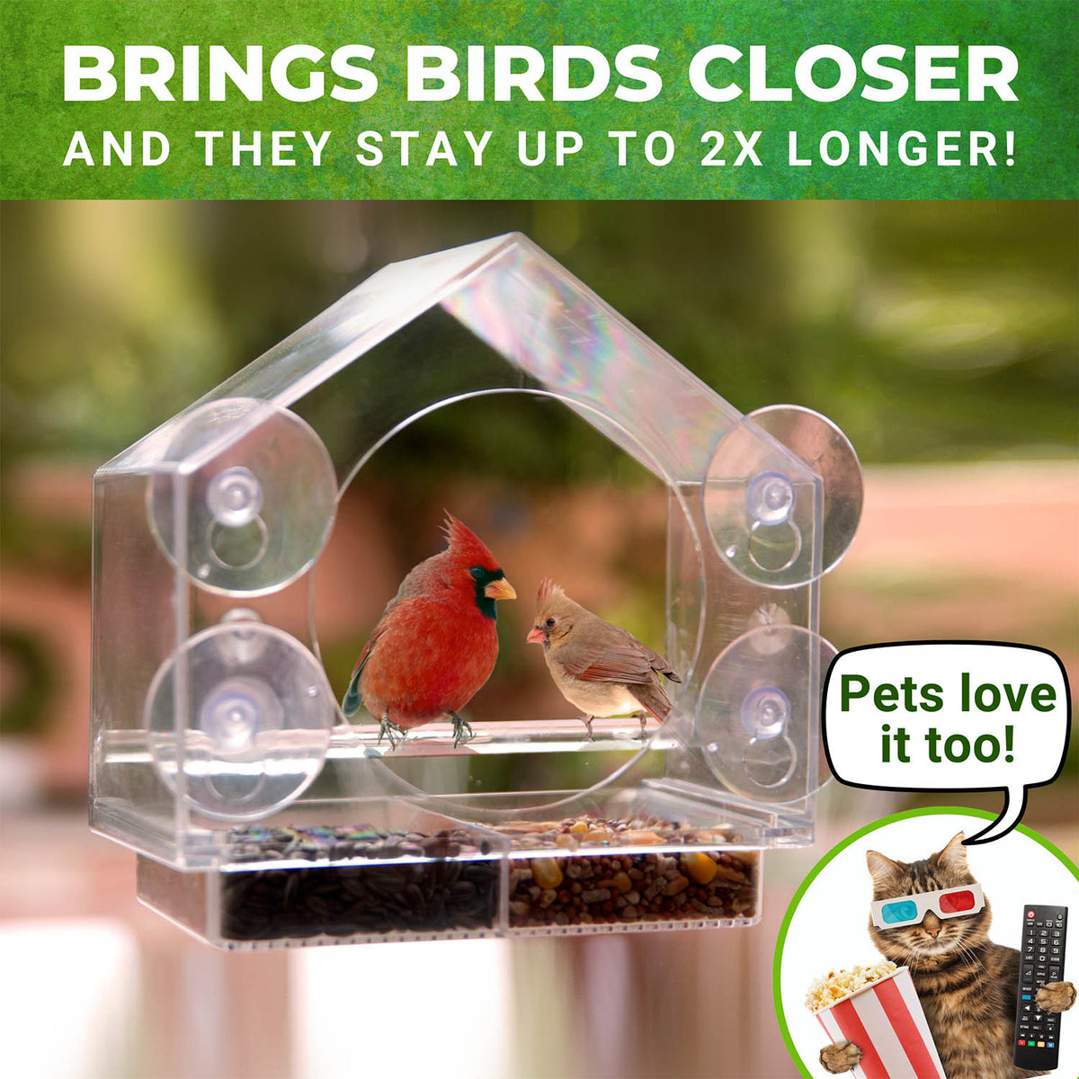 Bird Feeder Bundle