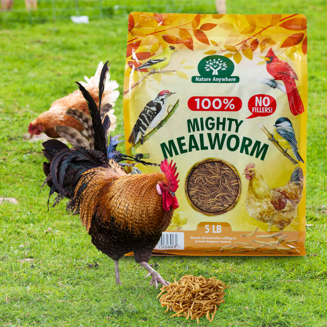 Mighty Mealworm (5 LBs)