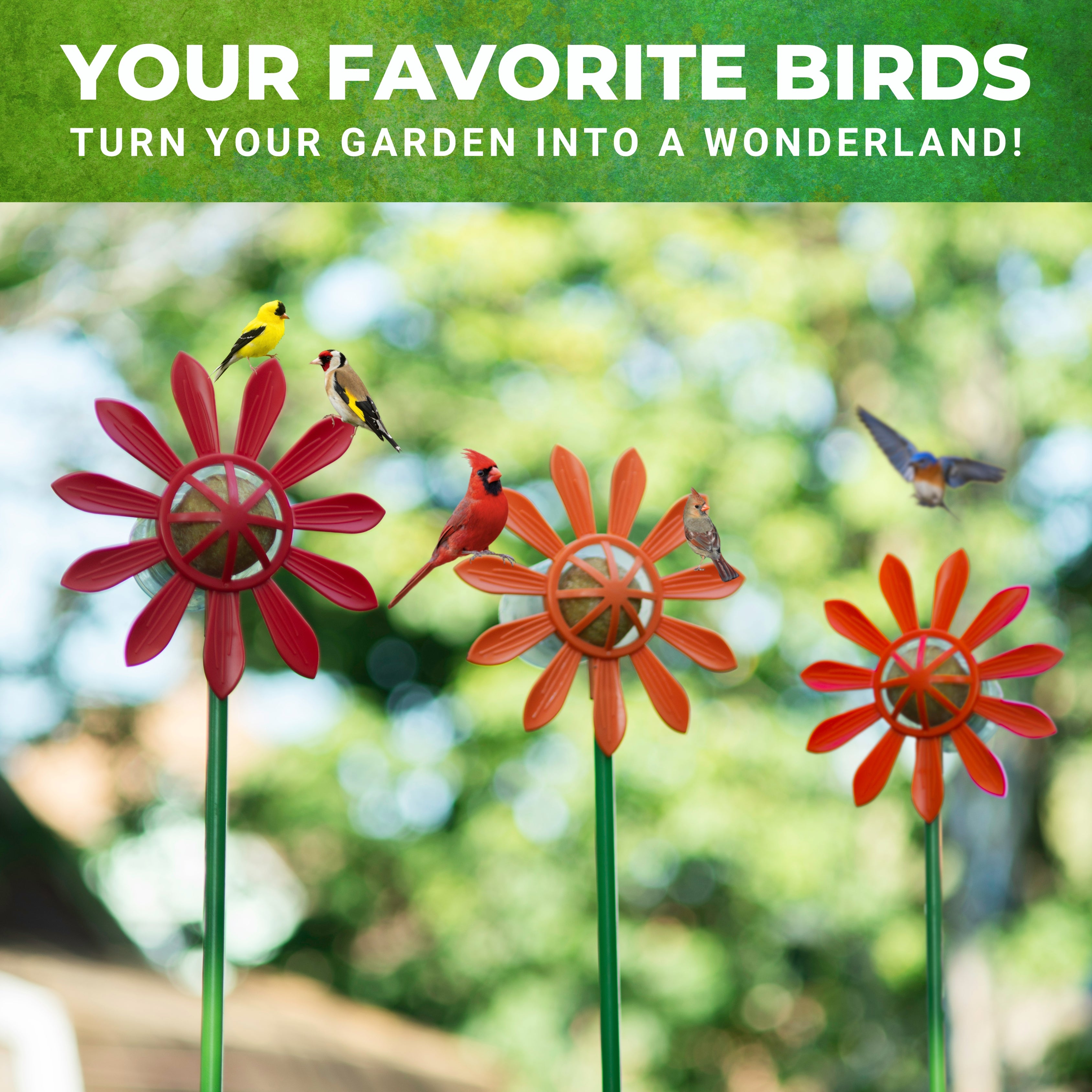 Fun Flowers Suet Feeders (3 Pack)