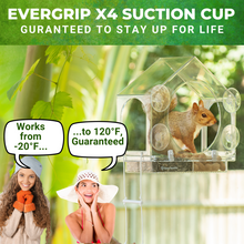 Load image into Gallery viewer, Squirrel-I-View Window Squirrel Feeder
