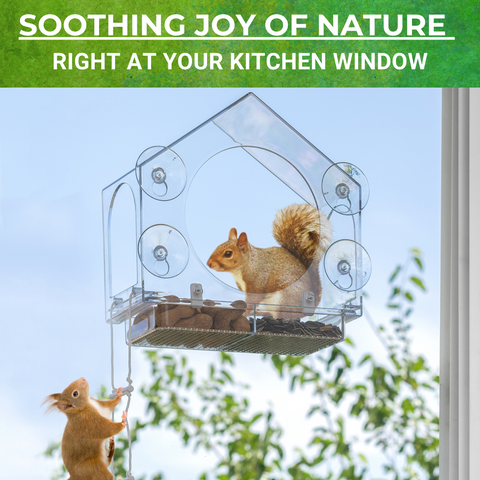 Squirrel-I-View Window Squirrel Feeder