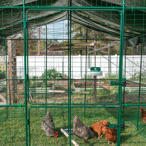 Chicken Module Moffat Chicken Run Instructions