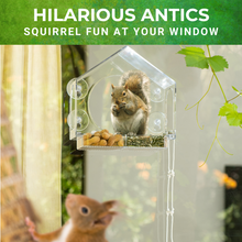 Load image into Gallery viewer, Squirrel-I-View Window Squirrel Feeder
