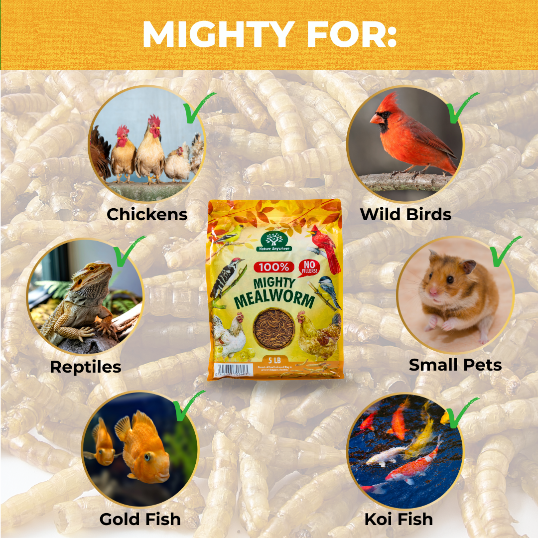Mighty Mealworm (5 LBs)