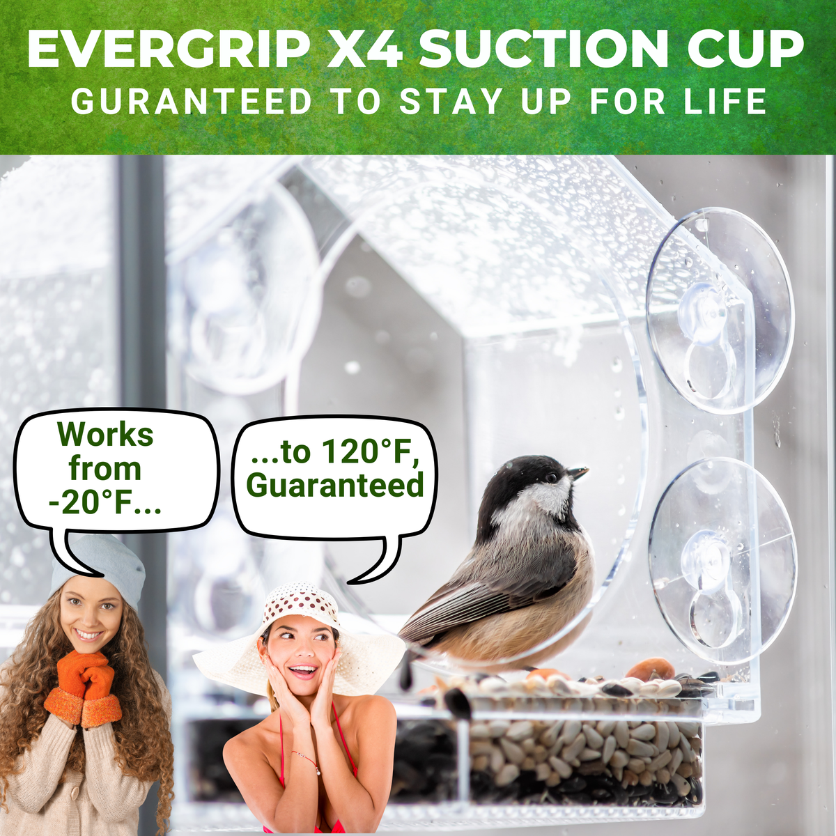 Bird Feeder Bundle