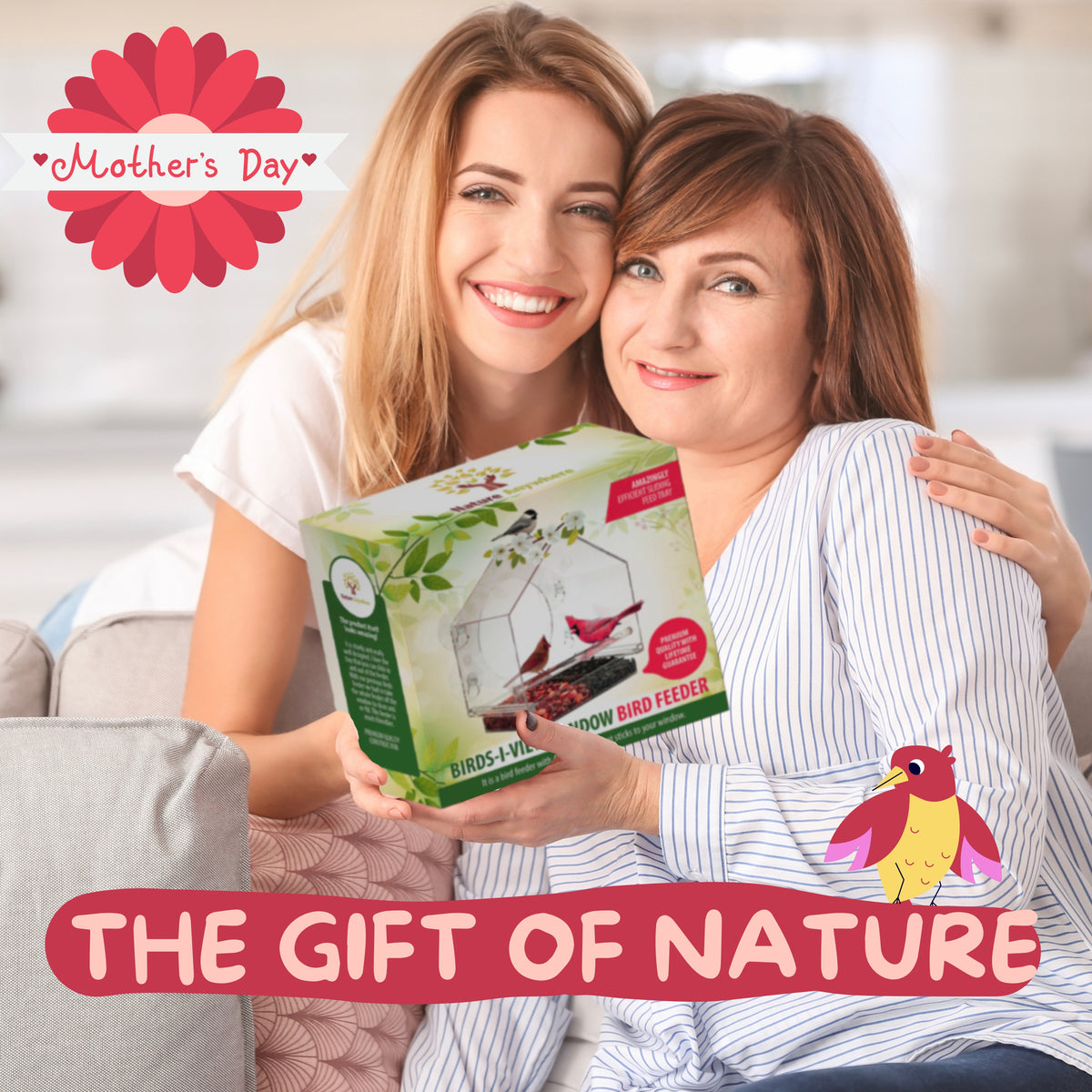Bird Feeder Bundle