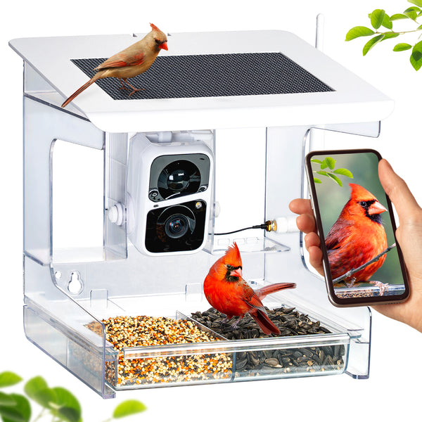 Nest-Flix Smart Bird Feeder with Camera