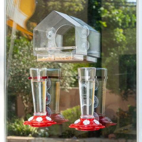 Window Hummingbird Feeder