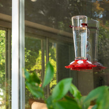 Load image into Gallery viewer, Window Hummingbird Feeder
