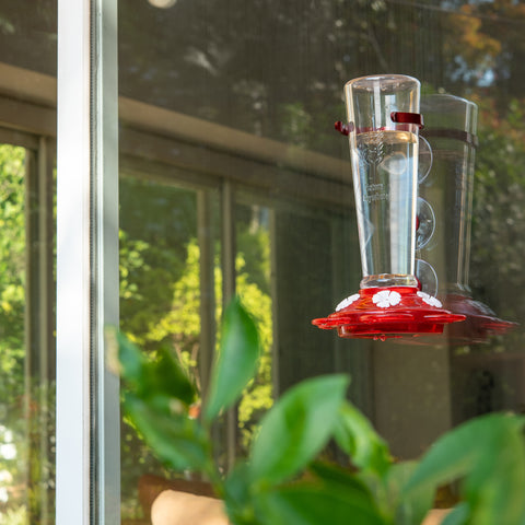 Window Hummingbird Feeder