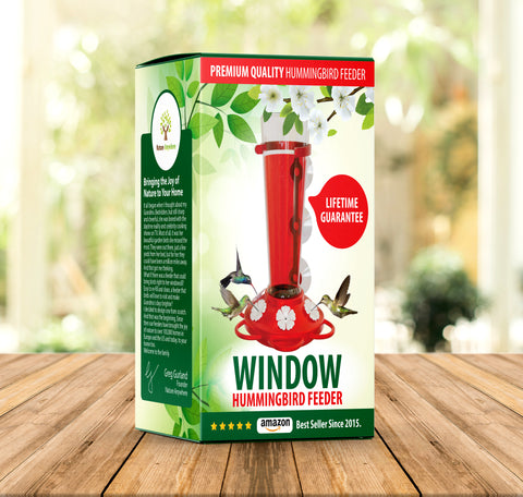 Window Hummingbird Feeder