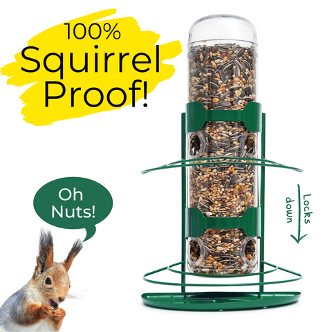 Squirrel-Lock Window Bird Feeder
