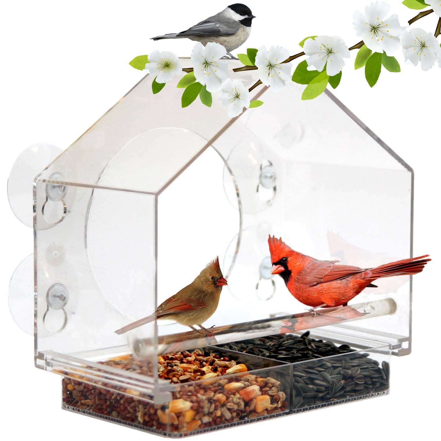 Nature Gear Window Bird Feeder - Refillable Sliding Tray - Weather Proof -  Snow and Squirrel Resistant - Drains Rain Water - See Songbirds from Home  (House Style) 