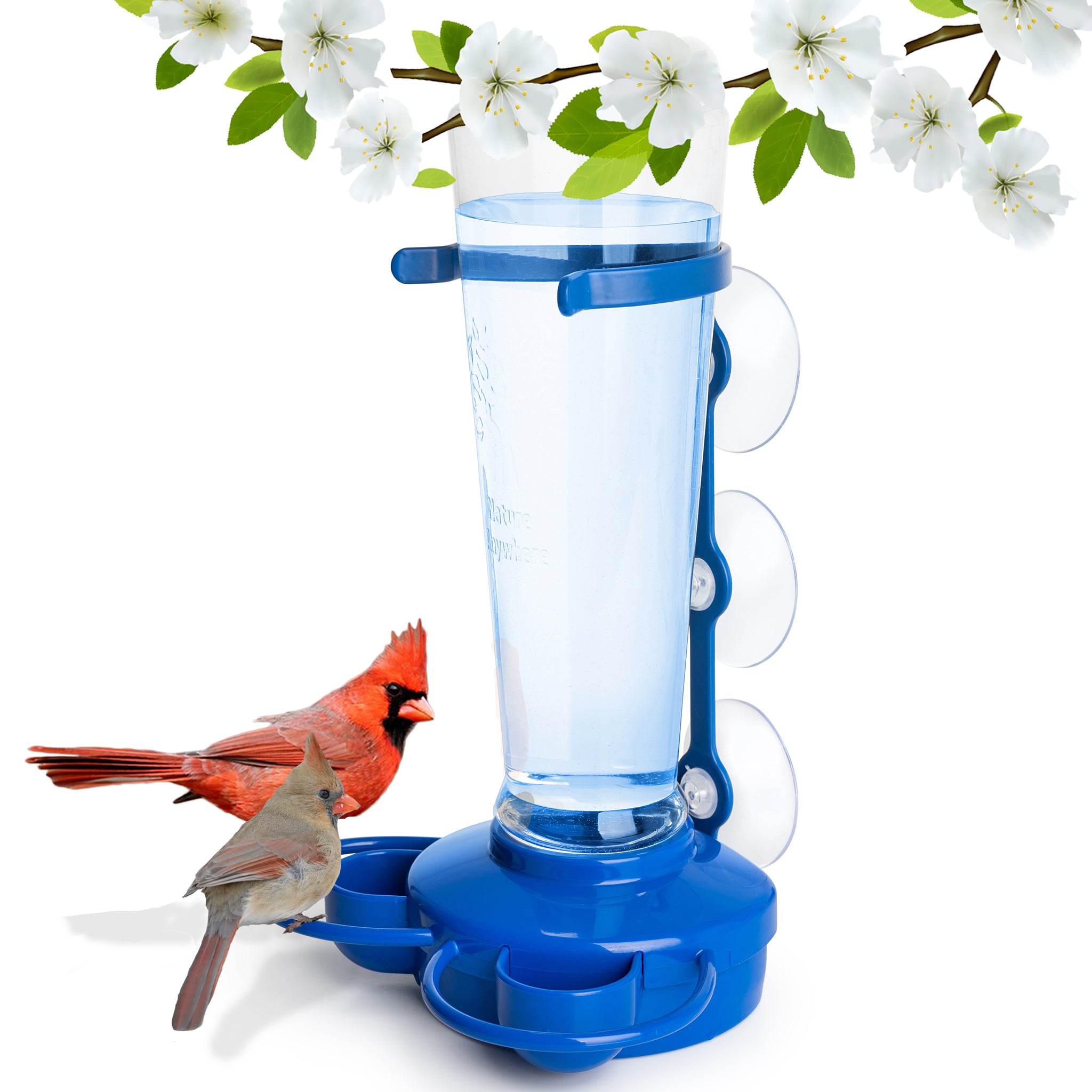  Bird Water Cooler