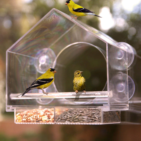 Clear View Mini Window Bird Feeder