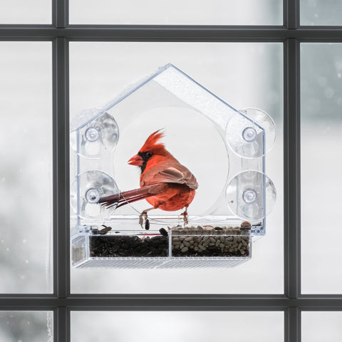 Birds-I-View Window Bird Feeder