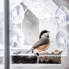 Load image into Gallery viewer, Birds-I-View Window Bird Feeder
